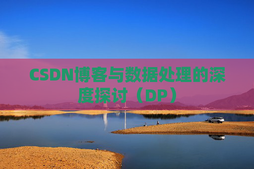 CSDN博客与数据处理的深度探讨（DP）